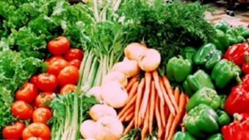AGX đặt kế hoạch lợi nhuận năm 2021 giảm 30%